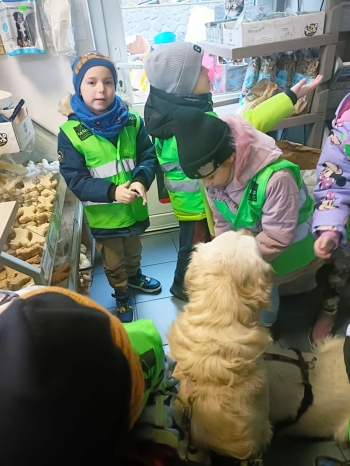 f7c5e8d2-04ce-4e63-97f9-ef7b115dc6d8.jfif