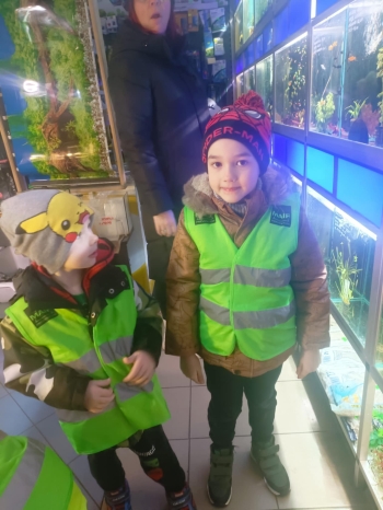 f46ef24f-b1ad-44e3-8476-bf573d4d7809.jfif