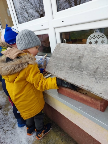 46d2dba3-cca4-4f40-9d47-0ac7498fcc6b.jfif