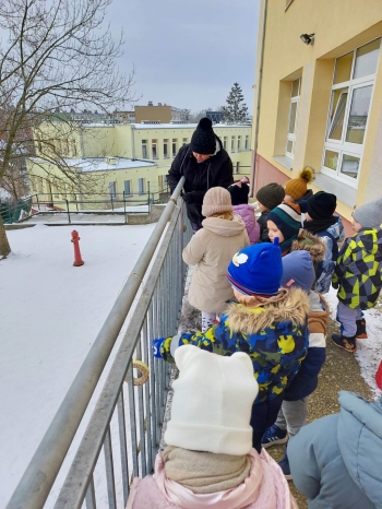 91ca1d44-2ddc-4e5b-ba35-bf951092b0ce.jfif