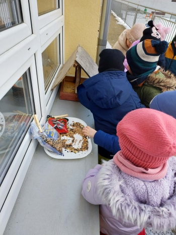 c91bb17a-becc-4ca9-9b4a-f87a56784dec.jfif