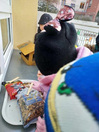 d085a2a1-5bae-4e89-8c7d-bc4d370827c3.jfif