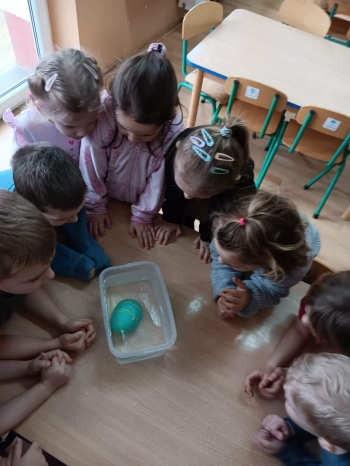 e2a19eee-1cb7-4f65-94c7-8ef7f6084aee.jfif