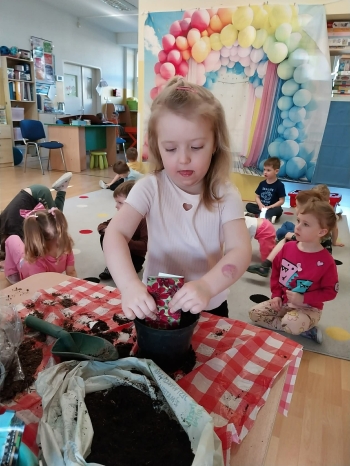 2d8d762f-aab6-4008-8dc0-3d9e2263088d