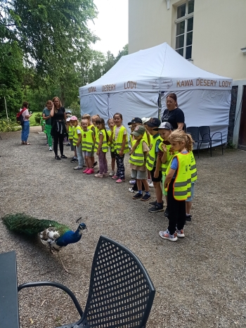 IMG20260608095243