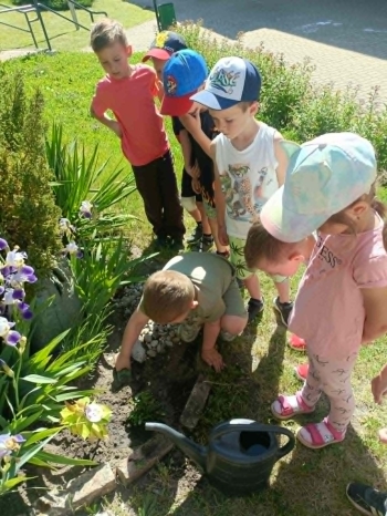0933ebb6-6165-46b5-9cb0-42add6a5ec42.jfif