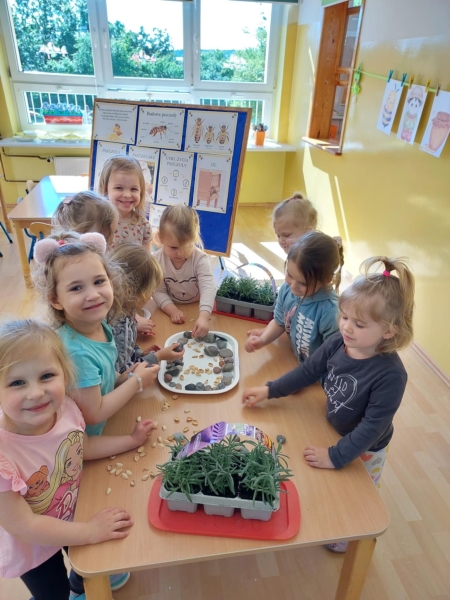 Mały Miś i Światowy Dzień Pszczół - projekt edukacyjny 