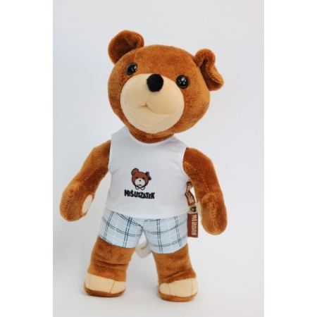 DZIEŃ PLUSZOWEGO MISIA