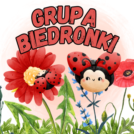 MARZEC W BIEDRONKACH